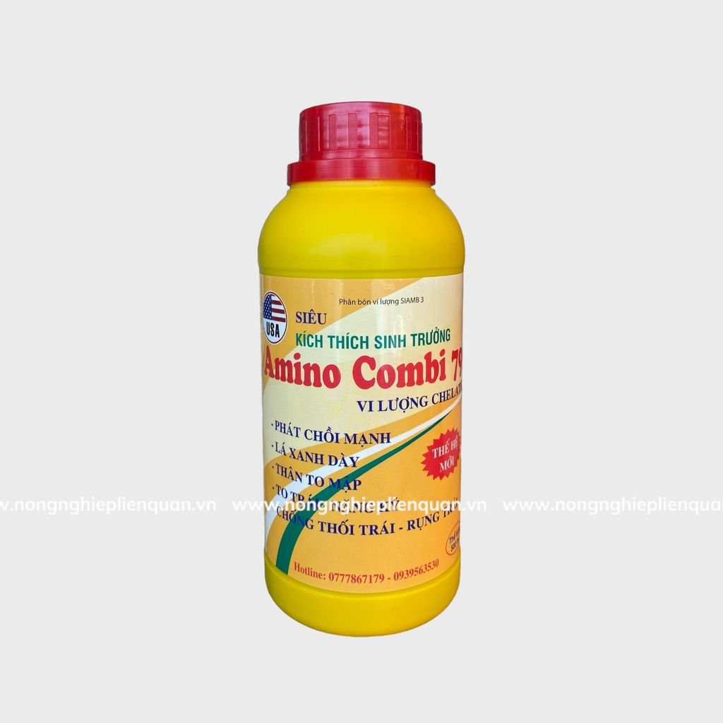 COMBI 79 (500ML)