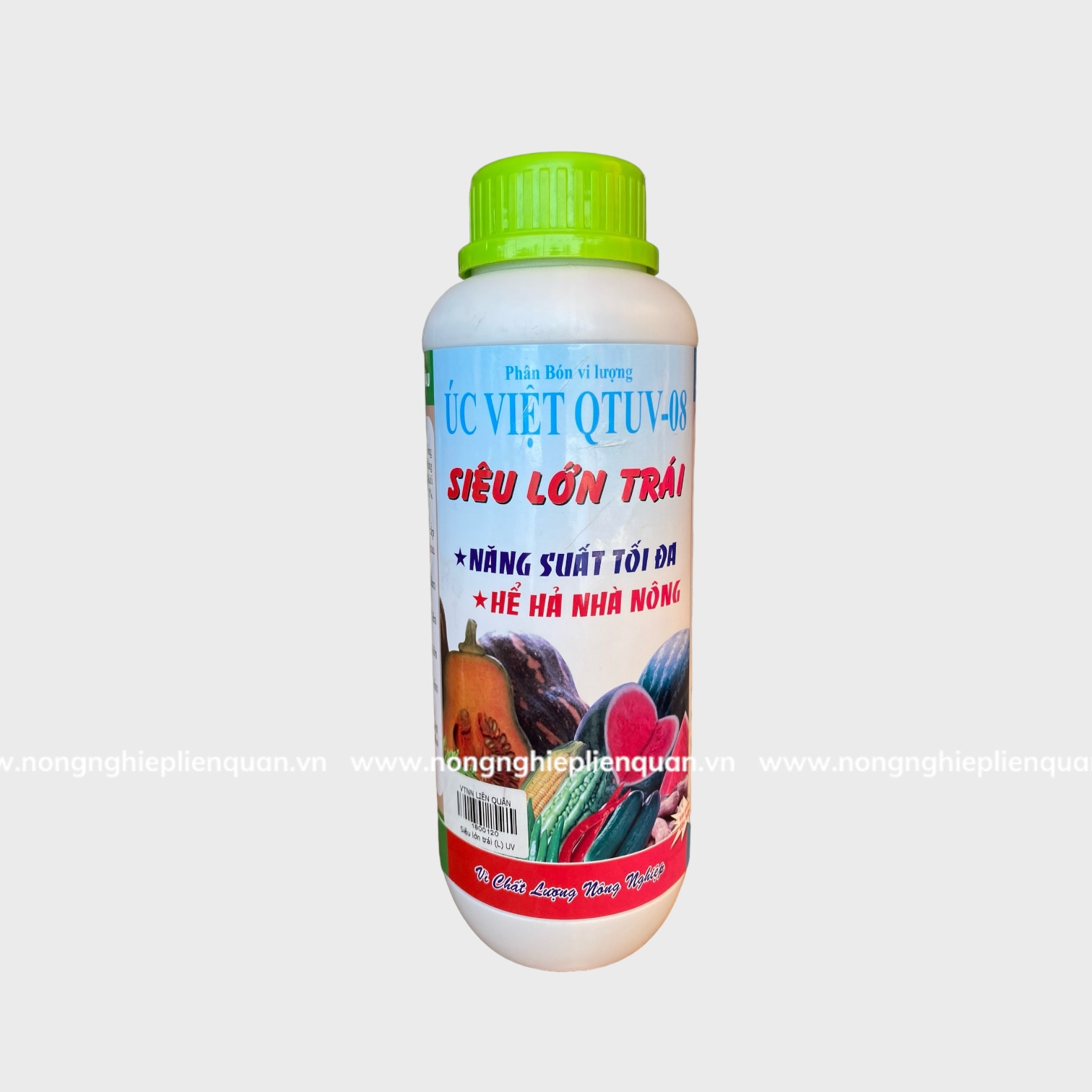 SIÊU LỚN TRÁI ( L) UV