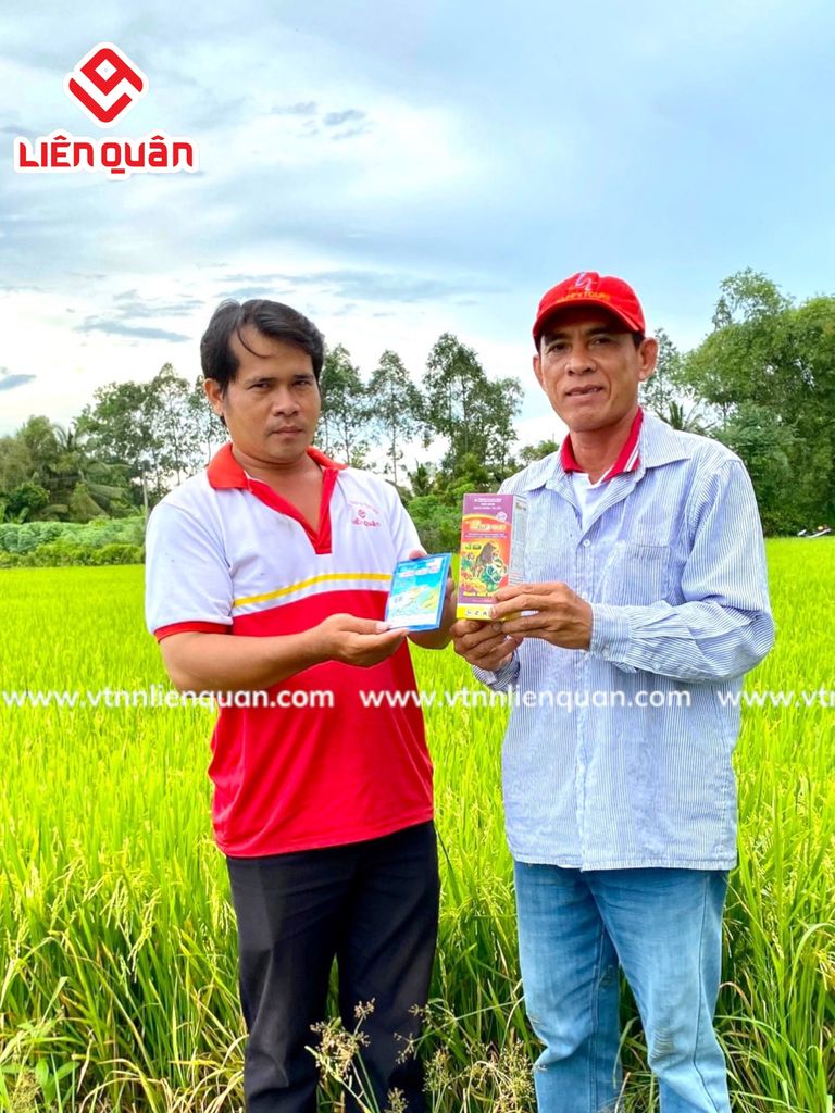 TeamLiênQuân thăm ruộng của chú Tư ở Trường Thọ - An Mỹ - Kế Sách - Sóc Trăng