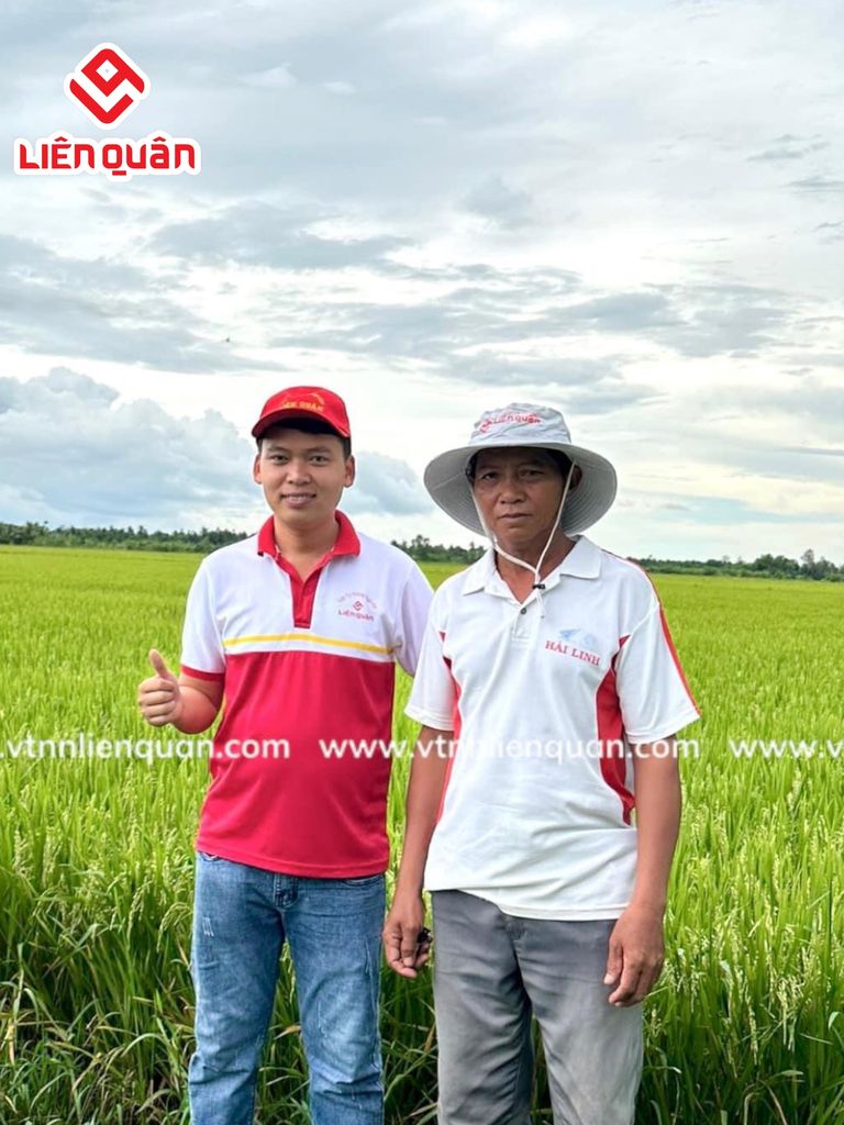 TeamLiênQuân thăm ruộng của chú Sươl ở Cây Sộp - Kế Sách - Sóc Trăng