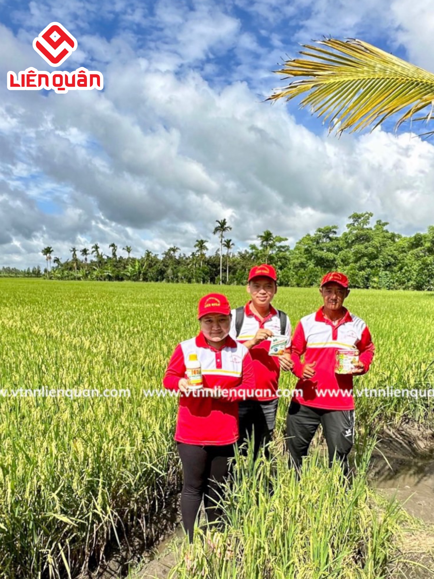 TeamLiênQuân thăm ruộng của chú Tốt ở Tập Rèn - Kế Sách - Sóc Trăng .