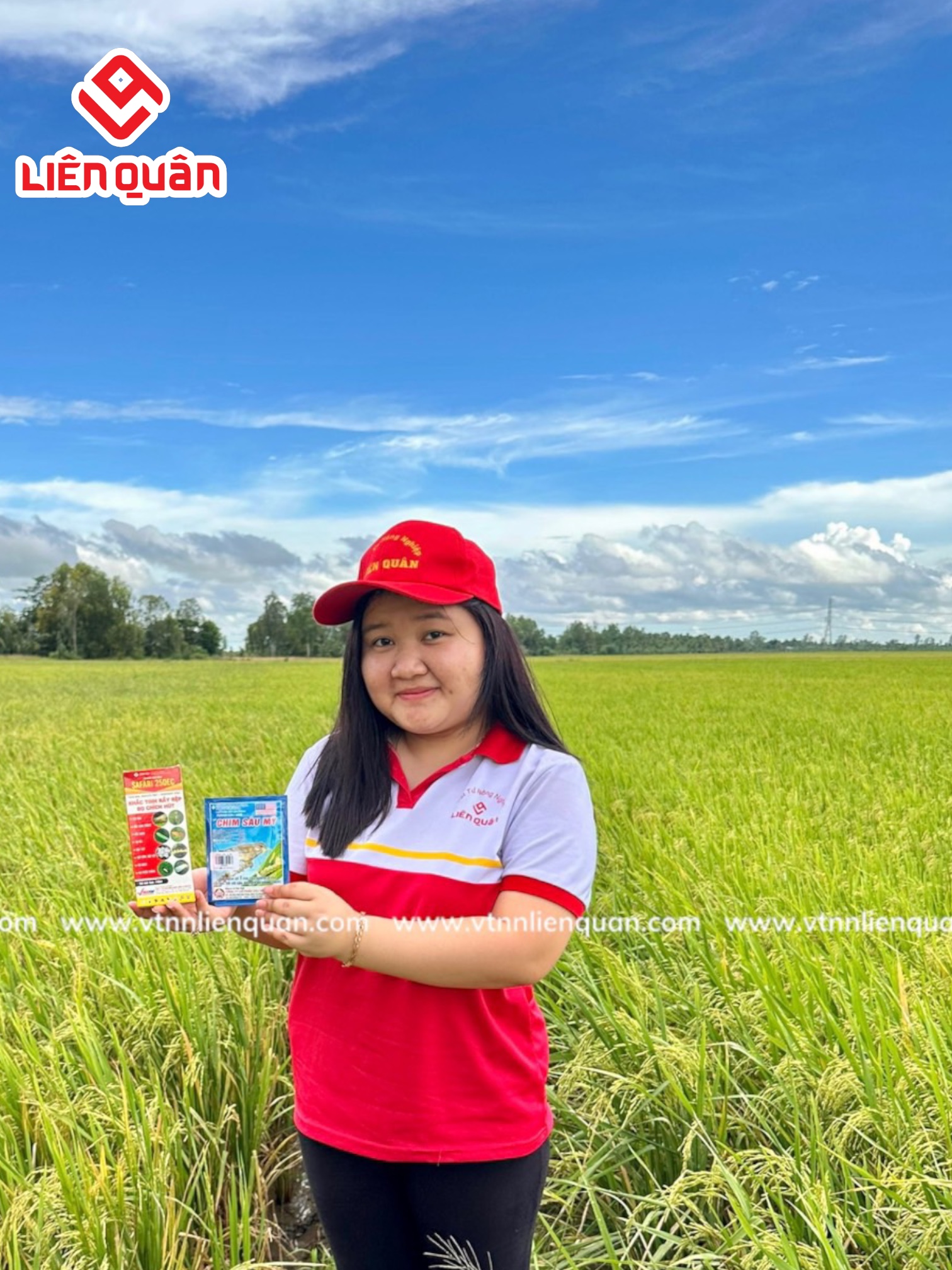 TeamLiênQuân thăm ruộng chú Lương ở Cây Sộp - Kế Sách - Sóc Trăng