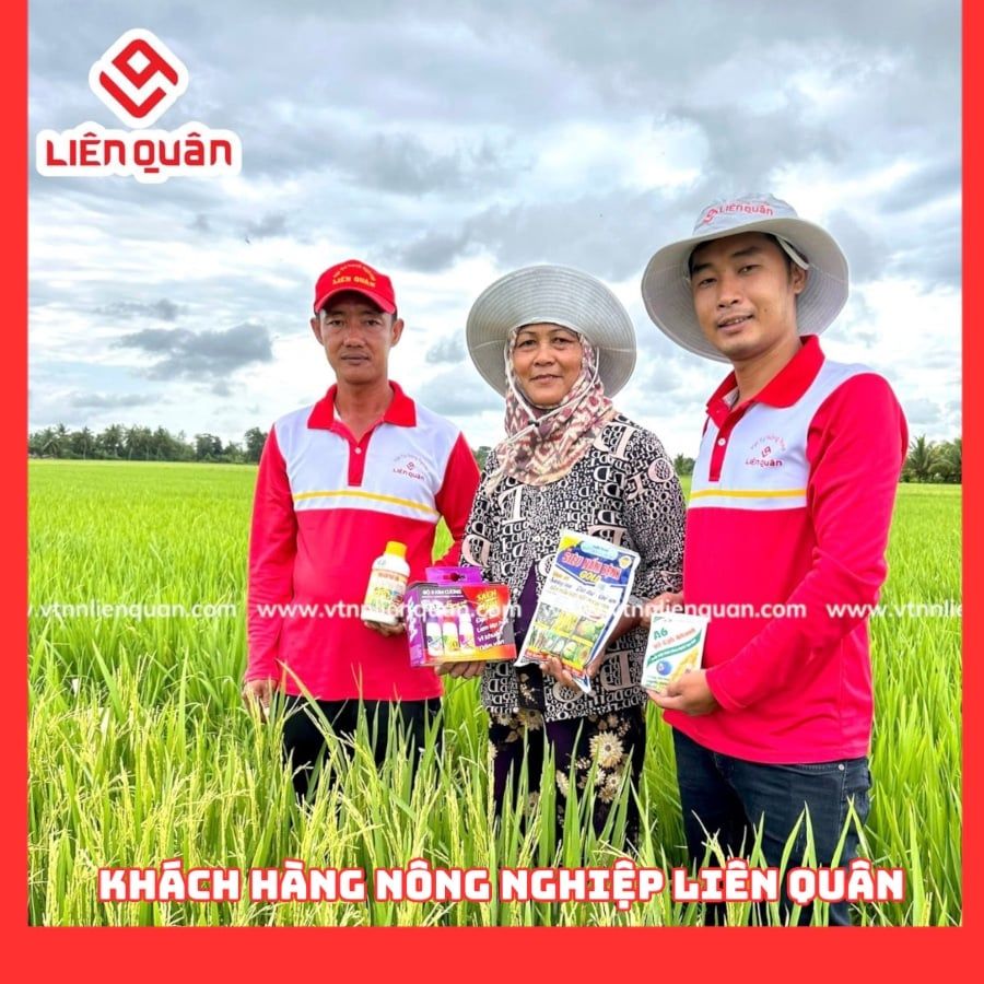 TeamLiênQuân thăm ruộng của Cô Sà Rươn ở ấp Phước Lợi - Phú Tân - Châu Thành - Sóc Trăng.