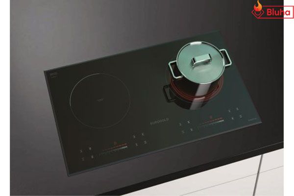 Bếp từ Eurogold EUH2110