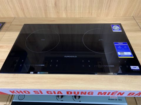 Bếp từ Eurogold EUH2110