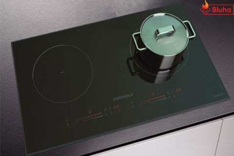 Bếp từ Eurogold EUH2120
