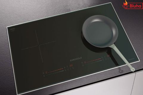 Bếp từ Eurogold EUH2121