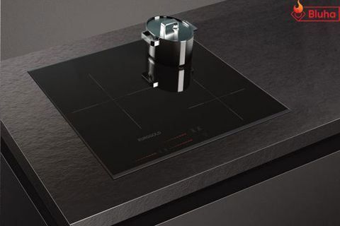 Bếp từ Eurogold EUH2131