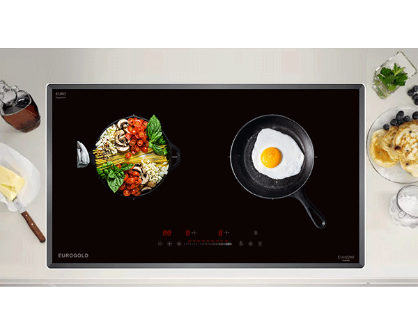 Bếp từ Eurogold EUH2288