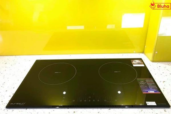 Bếp từ Eurosun EU-T256Max