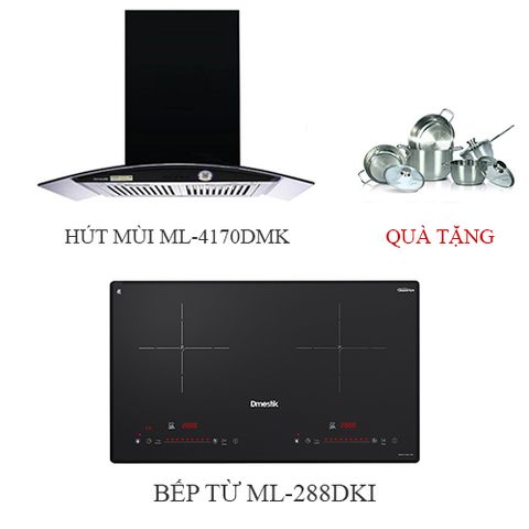 Combo bếp hút Dmestik 2