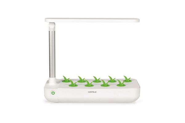 Hộp trồng cây Hafele 539.76.980 EasyGrow Table Box