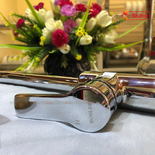 Vòi rửa bát Roslerer RL-907