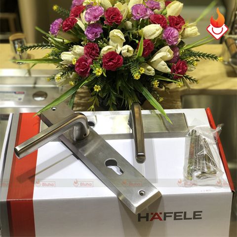 Tay nắm cửa chính đế dài Hafele 903.98.465