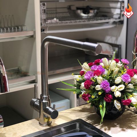 Vòi rửa bát Faster FS 04SS