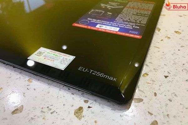 Bếp từ Eurosun EU-T256Max