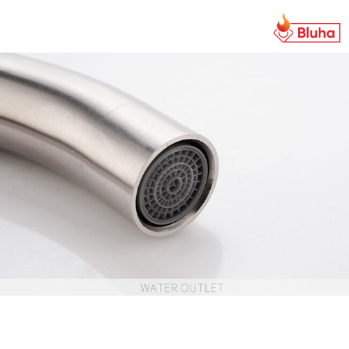 Vòi rửa bát Roslerer RL-802