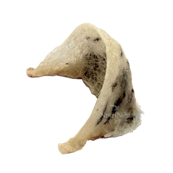  Tổ Yến Sào NutriNest còn lông - Góc 100g 