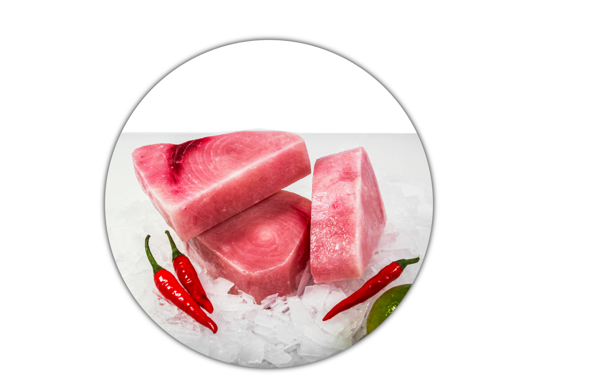 TS TREATED SWORDFISH STEAK HMP Khánh Hòa