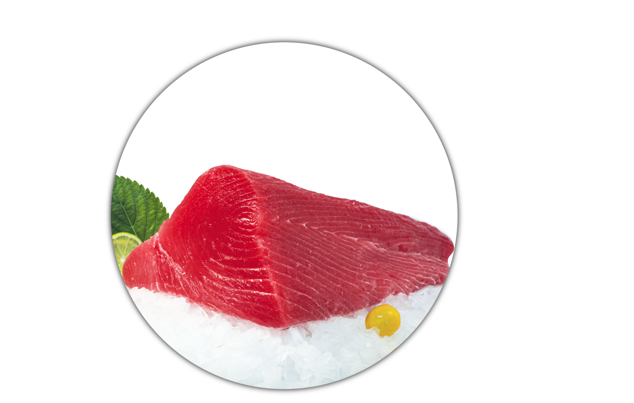 ts-co-treated-yellowfin-tuna-loin-hmp-kh-nh-h-a