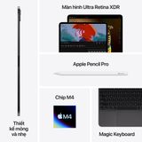 iPad Pro 11-inch M4 Chip 1TB Nano-texture Glass (Wifi + Cellular)