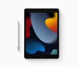 iPad 10.2-inch 256GB (Wifi + Cellular)