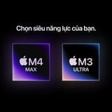 Mac Studio M3 Ultra chip