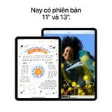 iPad Air 11-inch M2 Chip 256GB Wi-Fi + Cellular