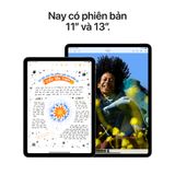 iPad Air 13-inch M2 Chip 256GB (Wi-Fi + Cellular)