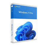 Windows 11 Pro 64-bit ESD