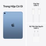 iPad 10.9-inch 256GB Wifi + Cellular
