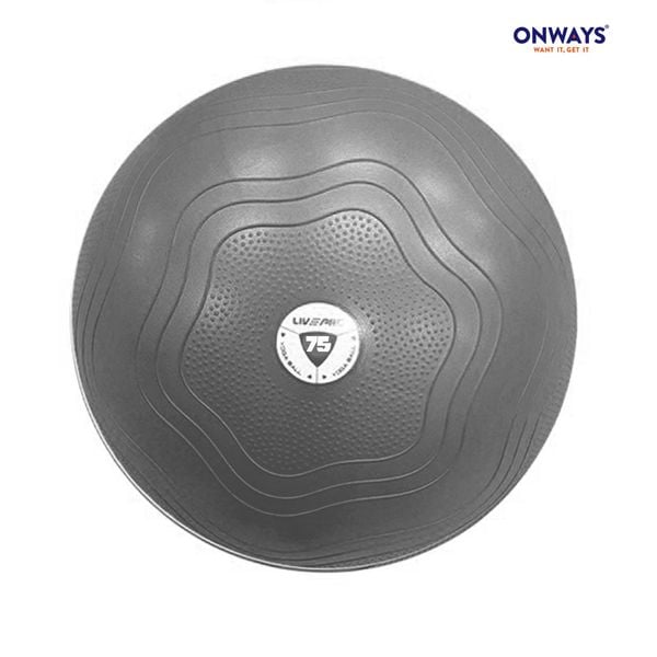 Bóng Yoga - Anti Burst Core Fit Exercise Ball LP8201