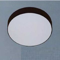 Đèn Led gắn nổi Anfaco AFC 579D LED 22W