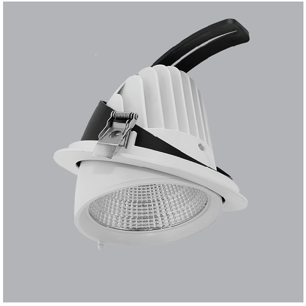 ĐÈN DOWNLIGHT ĐIỀU CHỈNH MPE 35W DLA-35T/N/V