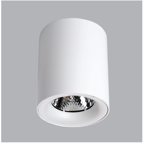 ĐÈN DOWNLIGHT TRÒN LẮP NỔI MPE 12W SDL-12T/V