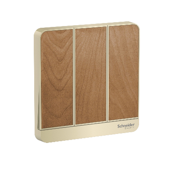 Bộ công tắc ba 2 chiều 16AX có đèn LED Schneider AvatarOn