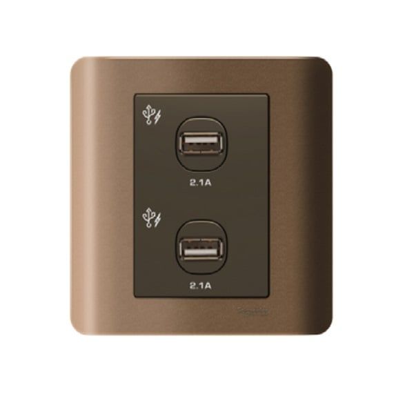 Bộ ổ sạc USB đôi 2.1A E8432USB Schneider ZENCELO
