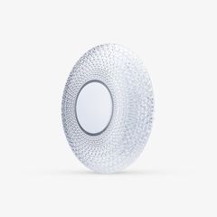 Đèn LED ốp trần LN22.BLE 500/40W Bluetooth Rạng Đông
