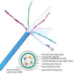 Dây cáp mạng Nanoco NC6-F100 Màu xanh/ trắng