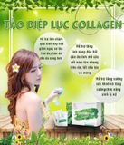 Diệp Lục Collagen