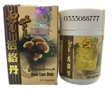 Thuốc Ganoderma Huo Luo Dan -Linh Chi Hoạt Lạc Đơn điều trị đau thần kinh tọa, thoái hóa xương khớp.