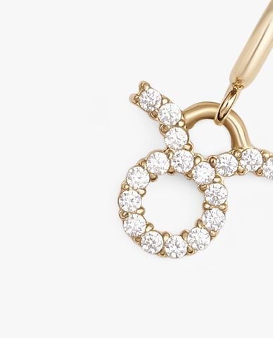  DANIEL WELLINGTON - Charm đồng hồ nữ Zodiac 