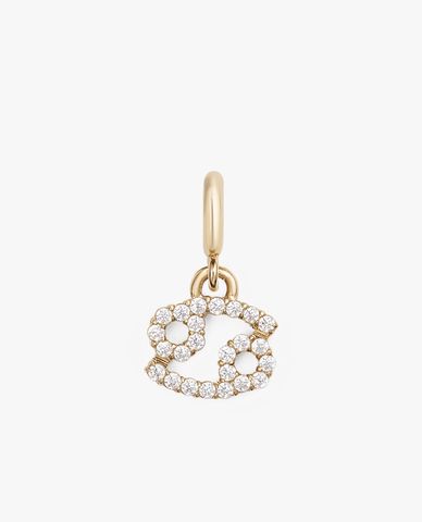  DANIEL WELLINGTON - Charm đồng hồ nữ Zodiac 