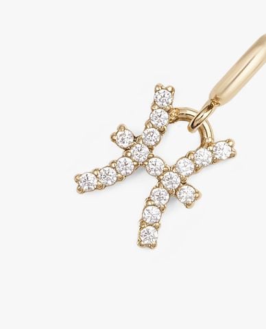  DANIEL WELLINGTON - Charm đồng hồ nữ Zodiac 