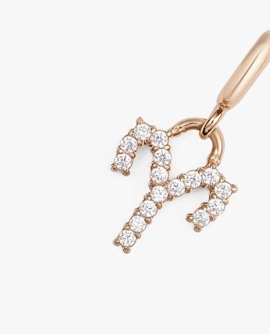  DANIEL WELLINGTON - Charm đồng hồ nữ Zodiac 