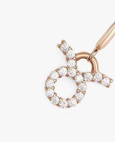  DANIEL WELLINGTON - Charm đồng hồ nữ Zodiac 