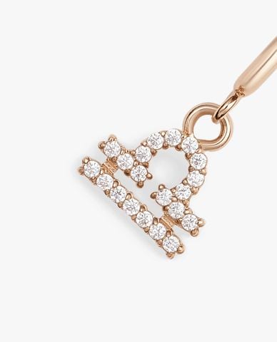  DANIEL WELLINGTON - Charm đồng hồ nữ Zodiac 