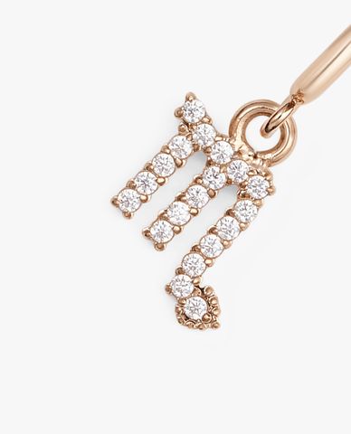  DANIEL WELLINGTON - Charm đồng hồ nữ Zodiac 