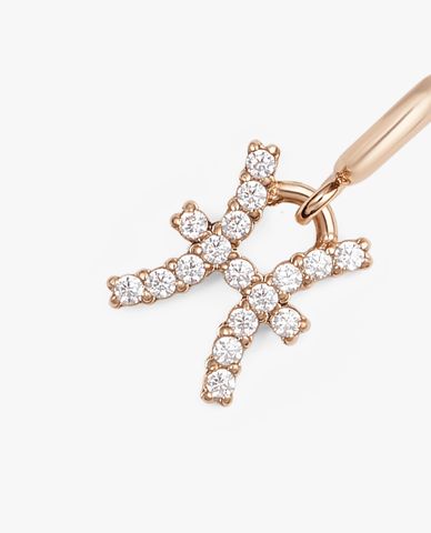  DANIEL WELLINGTON - Charm đồng hồ nữ Zodiac 