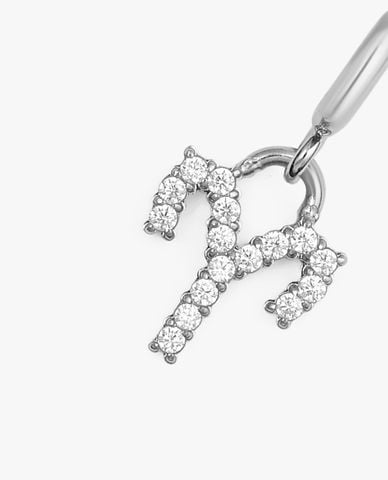  DANIEL WELLINGTON - Charm đồng hồ nữ Zodiac 